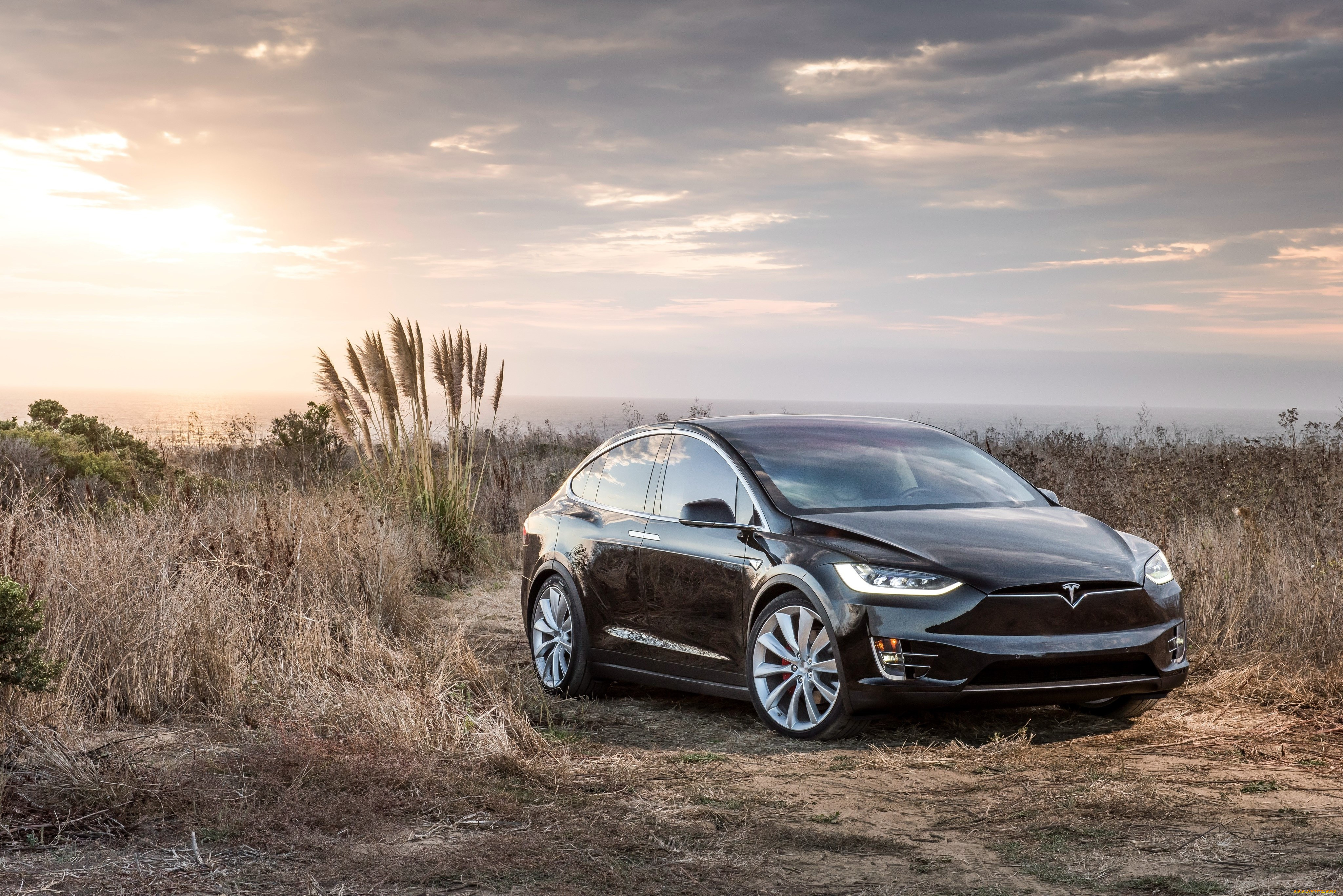 , tesla, 2015, model, x, p90d